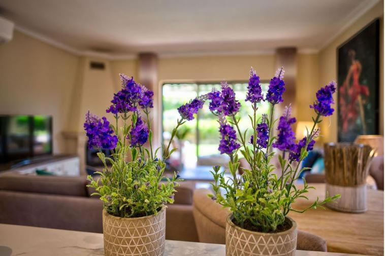 2Bedroom Bungalow Heated Shared Pool ,Near Carvoeiro And Ferrugudo מראה חיצוני תמונה
